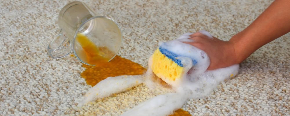 A Pro’s Guide To DIY Carpet Stain Removal 